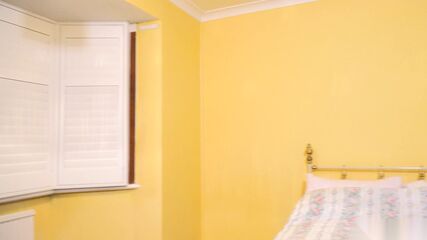 Mature Landlady MILF